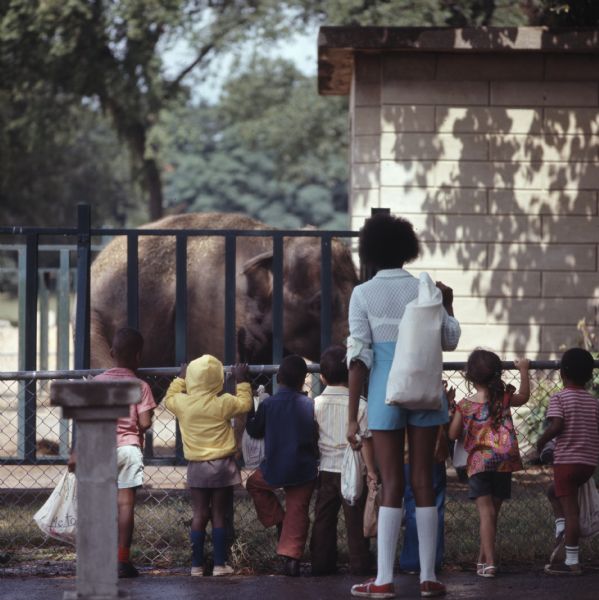 A group of children are leaning on a railing to look at an elephant at the Milwaukee Zoo.