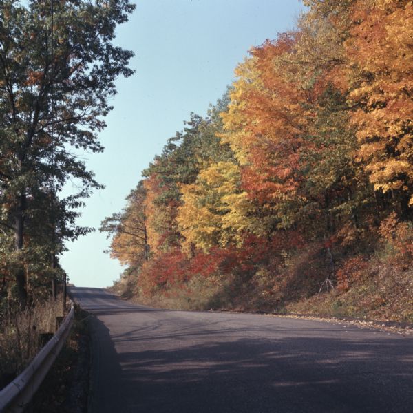 View looking up road on a hill towards trees with fall colors of yellow, orange and red leaves.