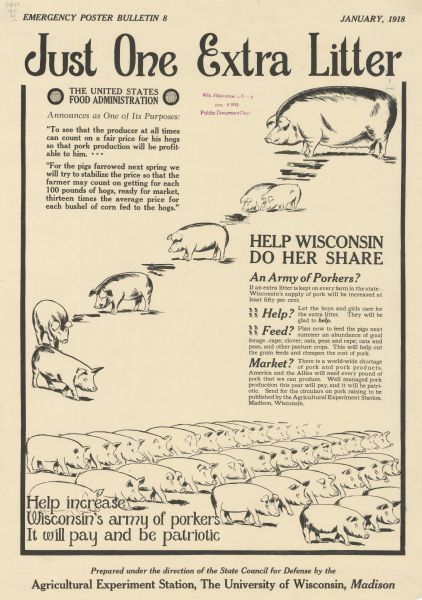 Poster featuring an illustration of a mother pig with six piglets and rows of pigs at the bottom of the poster. Highlights of the text reads: "Just one extra litter. The United States Food Administration announces as one of its purposes... Help Wisconsin do her share. An army of porkers?... Help?... Feed?... Market?... Help increase Wisconsin's army of porkers. It will pay and be patriotic. Prepared under the direction of the State Council for Defense by the Agricultural Experiment Station, the University of Wisconsin Madison."