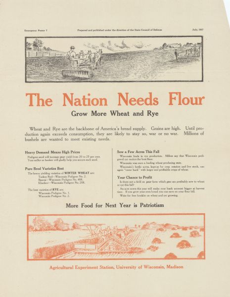 Poster with two illustrations of farmers plowing fields with horse-drawn plows. Text reads, in part: "The Nation Needs Flour. Grow More Wheat and Rye, More Food for Next Year is Patriotism." Text at bottom reads: "Agricultural Experiment Station, University of Wisconsin, Madison."