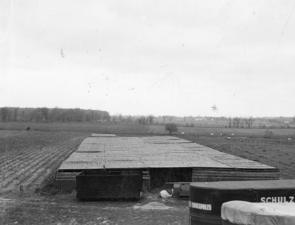A covered metal tank with the words "Schulz" and "Minneapolis" painted on it is standing in front of a slatted shade structure over a ginseng bed. The structure is at the edge of a field which has been harvested. Grazing cows and a barn with a silo are in the distance.