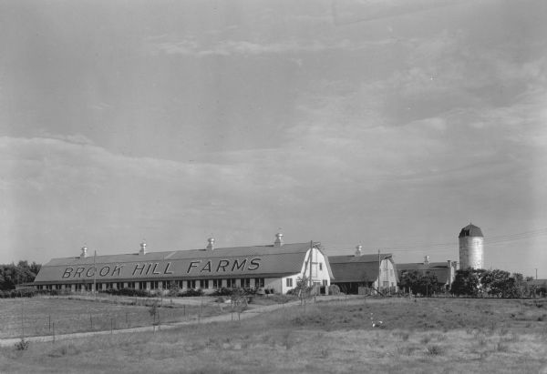 Three large barns with gambrel roofs and metal ventilators near a narrow road. There is a large silo on the right. The long barn in the foreground bears the name: "Brook Hill Farms."