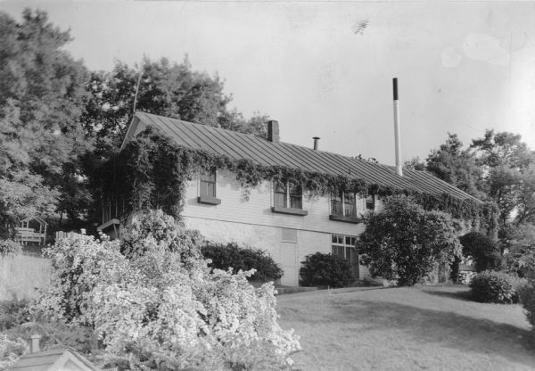 Shrubs in full bloom and a vigorous vine growing along the eaves create a picturesque view of a cheese factory. Typically, the long narrow building is built into a slope, with living quarters above the lower level work area. A screened porch on the left is nearly hidden by the vine. There are window boxes with small bedding plants on the second story and curtains in the windows. There are three chimneys or vents on the roof. A bench and trellis are on the lawn to the left of the house.