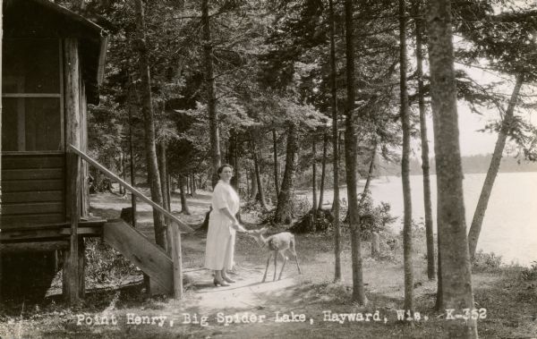 A woman in a light-colored dress is standing at the foot of the steps to a rustic cabin. She is holding a baby bottle and feeding a fawn. The shoreline along Big Spider Lake is on the right.