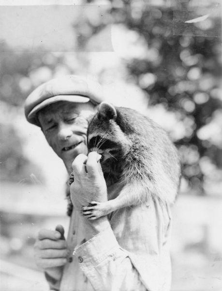 Oscar, an employee at the State Experimental Game and Fur Farm, feeding a raccoon which is riding on his shoulder. The raccoon is grasping Oscar's hand with his front paws. A caption on the reverse reads: "Oscar knows every one of the raccoon[sic] at the State Game & Experimental Fur Farm, Poynette." 