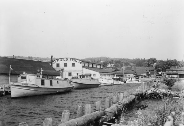 Fishing tugs are moored alongside the wharf at Bayfield. The large Bayfield Fish Co. building is identified in large letters on the end of the building. There are pilings along the shore in the foreground, and houses are on the hill behind.  