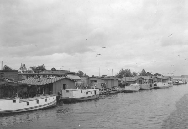 Elevated view of seagulls flying over fishing tugs moored at the wharf in Algoma. Small warehouse buildings line the wharf. Fish net drying reels are visible between the tugs. There is a breakwater in the background, and a house on the hill on the left.