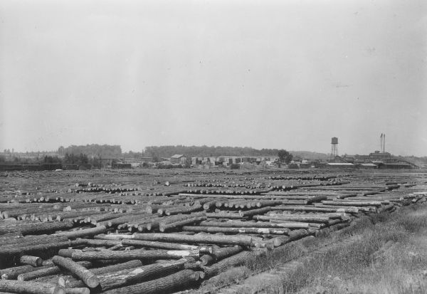 Stacks of logs cover a large flat area in the foreground, and in the distance is a complex of buildings at a sawmill. There are many large stacks of lumber in the background. Three smokestacks and a water tower are on the right. There are railroad tracks overgrown with weeds in the foreground on the right.