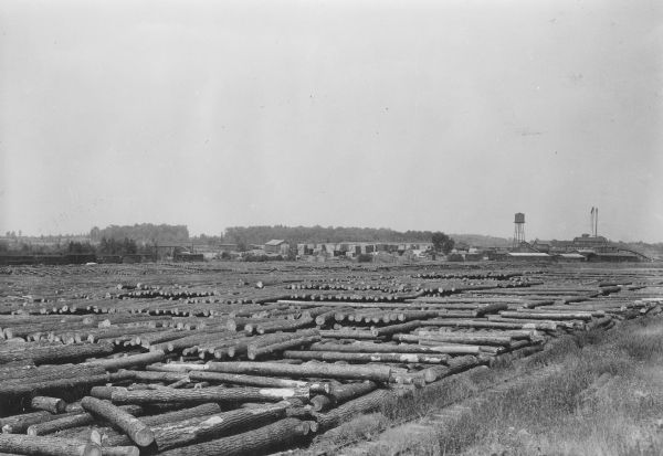 Stacks of logs cover a large flat area in the foreground, and in the distance is a complex of buildings at a sawmill. There are many large stacks of lumber in the background. Three smokestacks and a water tower are on the right. There are railroad tracks overgrown with weeds in the foreground on the right. 