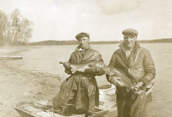The caption on the reverse of the print reads, "Edward Zitman, Birchwood, and Peter Olson, Madison, obtaining golden wall-eyed pike spawn from Beaver Dam Lake at Cumberland." The men, standing on the shore of a lake, are wearing water proof coats and each holds a large fish. The man on the left is standing with one foot in a row boat. There is a fish net and a metal tub in the boat.