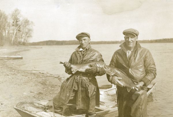 The caption on the reverse of the print reads, "Edward Zitman, Birchwood, and Peter Olson, Madison, obtaining golden wall-eyed pike spawn from Beaver Dam Lake at Cumberland."  The men, standing on the shore of a lake, are wearing water proof coats and each holds a large fish.  The man on the left is standing with one foot in a row boat.  There is a fish net and a metal tub in the boat.