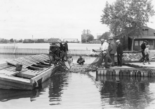 Men standing on a barge, left, and others on a wharf, work with a net full of fish from Lake Winnebago as others watch.  Two boys at right are walking away from the wharf.  A man standing in the water wearing a waterproof coat is holding a carp.  Written on the reverse of the print is "Rough fish removal operations at Oshkosh."  A bridge and large building are visible in the background.  The sign above the building identifies the Wisconsin Public Service Corporation.