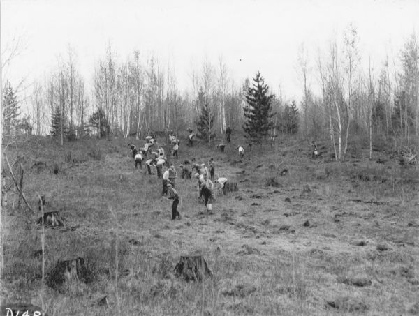 A group of young men work on a wooded hillside.  The caption on the reverse of the print explains, "A group of CCC [Civilian Conservation Corps] boys doing some spot planting in American Legion State Forest, Oneida County, Wisconsin."