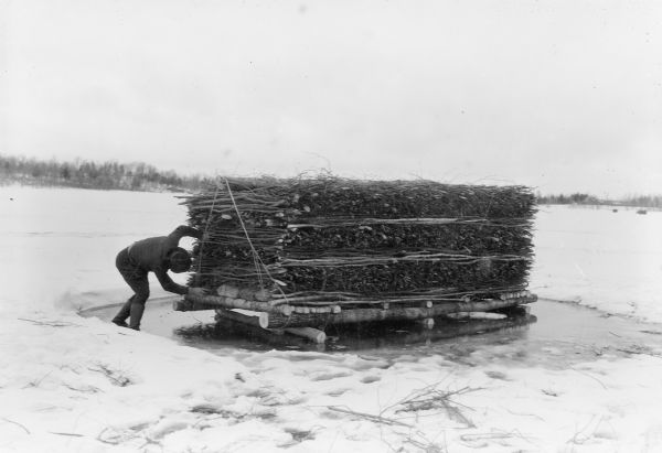An unidentified man is inspecting a construction of logs and branches, stacked neatly and tied with ropes. He is standing on ice on a cleared area of a snow-covered lake, and is wearing high boots and a hat. The description on the reverse of the photograph explains: "When the ice melted, this brush tangle, weighted with sand bags, sank to the bottom of the lake, where it forms an ideal refuge for young fish. Similar structures have been placed in other lakes in Lincoln County on the WPA lake and stream improvement program."