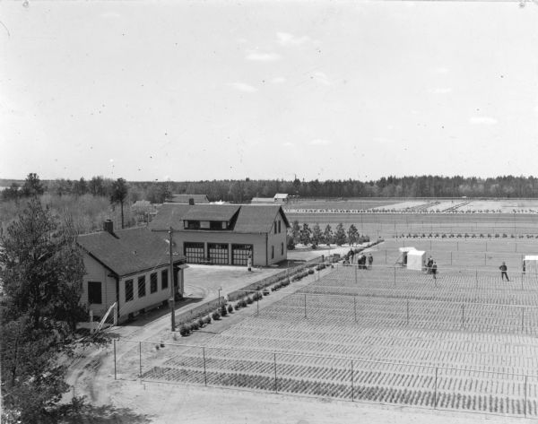 Elevated view of the state nursery showing fields, an above ground irrigation system, and blocks of plantings. There are men working in a field on the right. Two wood framed buildings are on the left; the far building has garage doors and a dormer with two windows.  