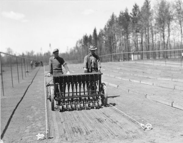 Two men are pushing an implement between guide ropes at the Central (now Griffith) State Nursery. The description on the reverse of the photograph explains: "Running seeding machine on nursery seed beds. Seeding in beds 4 ft. wide — 10 rows to the bed. Drill can be set to sow seeds at various rates, according to species." There are overhead irrigation pipes on both sides of the bed.  