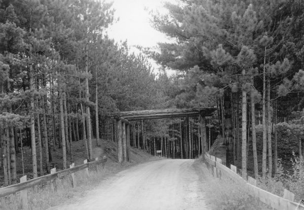 A narrow, unpaved road passes under a rustic log arbor-like gate which marks the entrance to Bradley Park. The area is heavily wooded with tall but immature pine trees. There are wooden railings at the sides of the road in the foreground. Beyond the gate, a small sign advises drivers to "GO SLOW." 