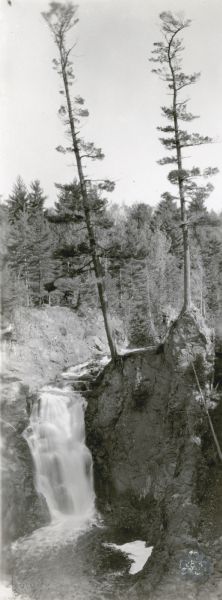 An elevated view of Brownstone Falls. Two tall pines are growing at the top edge of a rock to the right of the falls.