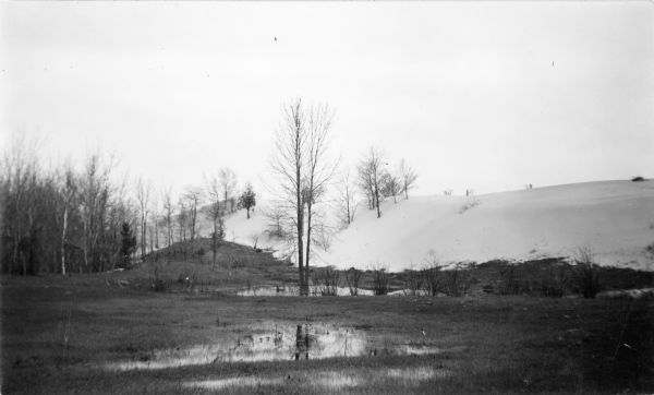 View across standing water in a swale at the foot of a large sand dune. A tall, leafless tree is reflected in the pools. The dune appears to have engulfed the trunks of some trees in the background. The caption on the reverse of the print reads: "View of a huge sand dune at the newly acquired Two Rivers state park area, Two Rivers, Manitowoc County, Wisconsin." The permanent name for that park is Point Beach State Forest, which was established in 1938.