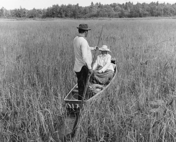 The caption on the reverse of this print explains: "Indians harvesting wild rice. Man poles rice boat while wife uses cedar ricing sticks and strips grain from stalks over the gunwales of the boat. At the time [this] picture was made the green, unprocessed rice was bringing 93¢ a pound. Processed rice retailing for $5.00 to $6.00 a pound."