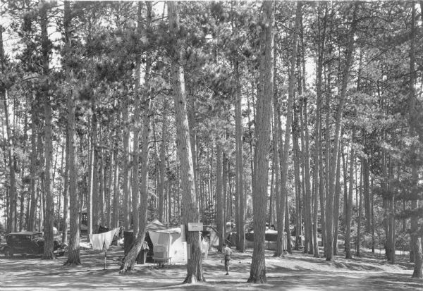 View across park towards a boy dwarfed by Norway pines in the campground at Bradley Park. There are several tents in the background and a car is parked on the left. Towels are drying on clotheslines among the tents.