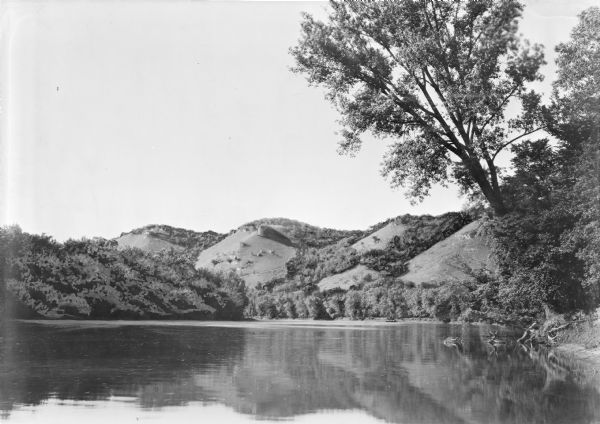 Four bluffs are reflected in the back waters of the Mississippi River. A large tree on the right frames the view.  