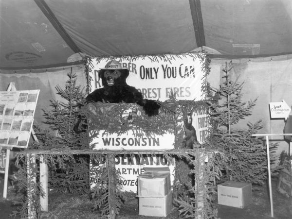 A figure of Smokey Bear is posed standing with a paw resting on a sign advertising the Wisconsin Conservation Department. Behind him is a sign with his motto: "Remember, Only You Can Prevent Forest Fires."  Evergreen trees flank the tableau and boughs decorate a wooden fence in front. There are three boxes marked "Holden Book Covers" on the floor. The display is inside a tent marked: "Fond du Lac Tent & Awning Co."