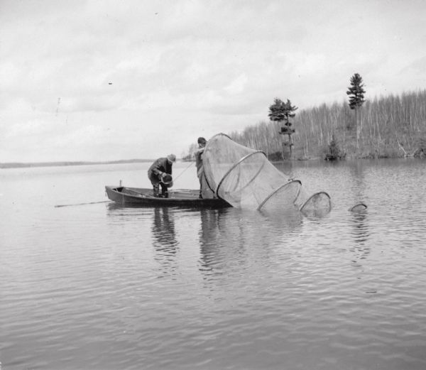The caption on the reverse of this print reads: "Muskie spawning crew lifting hoop net on Big Arbor Vitae Lake, Sunday, May 10, 1936. Otto Mielke, lifting net, has reported muskies in it. Hank Mottke is dipping water in a big tub to receive the catch."