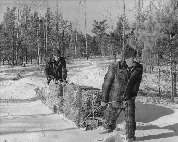 Two men wearing woolen snowsuits and hats are maneuvering a toboggan over deep snow in a wooded landscape. The sled is loaded with bales of hay and two bushel baskets filled with cobs of field corn.  