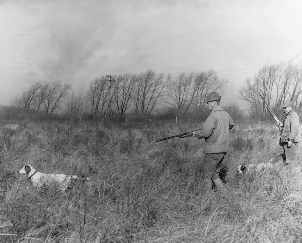 Two men with shotguns, accompanied by two dogs, hunting in a grassy field. There is a row of trees and utility poles in the background.