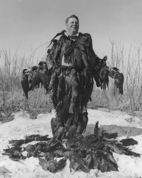 Oswald Neesvig is posing in a snowy landscape with dozens of dead crows attached to his clothing and at his feet. Neesvig was the founder and president of Madison Packing Company. On the reverse of the photograph is written: "A day's crow hunt."