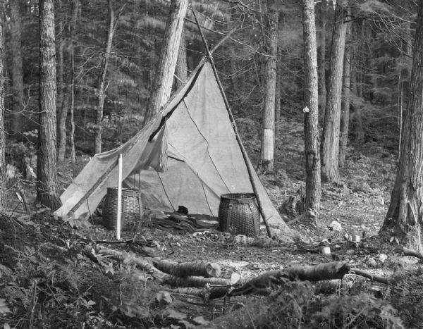 Two large woven baskets with shoulder straps are sitting on the ground in front of an open tepee in a forest clearing. There are two tin cups on the ground and a third is hanging from the trunk of a tree. There is a large, fairly new blaze cut into the bark of a tree in the background, with what appears to be writing on the exposed wood. A smaller blaze marks the tree just to the right of the tepee. On the reverse of the photograph is written: "Indian camp in the wilderness. Menominee Indian Reservation."