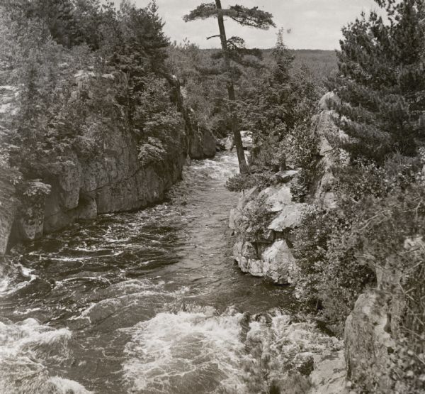 An elevated view of the Wolf River. The base of Smokey Falls is in the foreground. A large pine is growing on the rocky bank on the right. The printed caption, glued to the reverse of the print, reads: "Dells of the Wolf River. Swirling and leaping onward from time immemorial, the restless Wolf River continues to cut its way through the rocky gorge north of Smoky [sic] Falls in Shawano County."