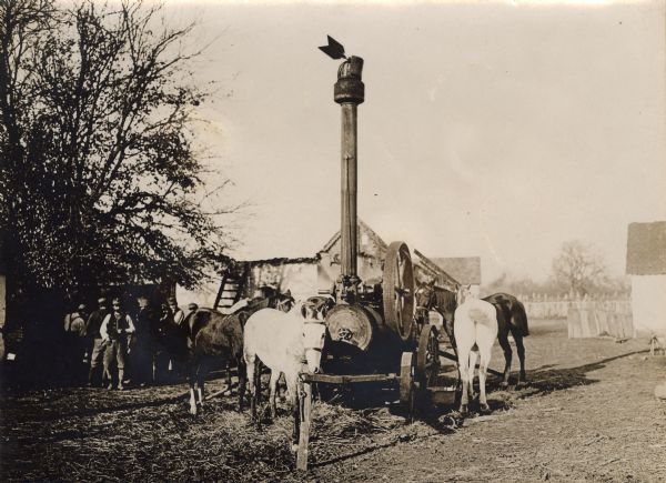 Horses surrounding a steam threshing machine in Serbia during World War I.