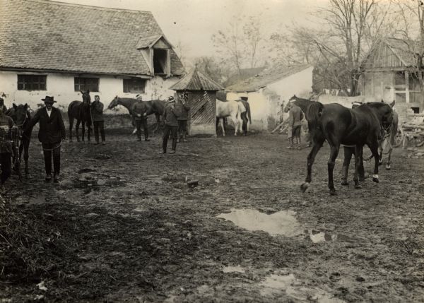 Austrian Soldiers are training horses on a Serbian farm during World War I. 