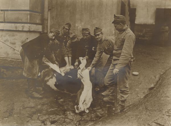 Austrian soldiers surround side of beef that that is being prepared for food.