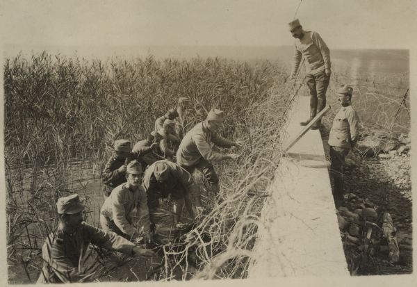 Austrian officers are overseeing the building of a wall on the front. On the left side of the wall, soldiers are standing knee-deep in the water, constructing a barbed wire entanglement in a lake reed bed on the southwestern battlefront in Italy.