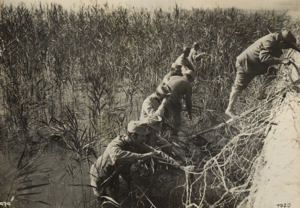 Austrian soldiers are building barbed wire entanglements in a lake reed bed on the southwestern battlefront in South Tyrol. One man holding a coil of wire is standing barefoot on a plank that is resting against the side of the stone wall.