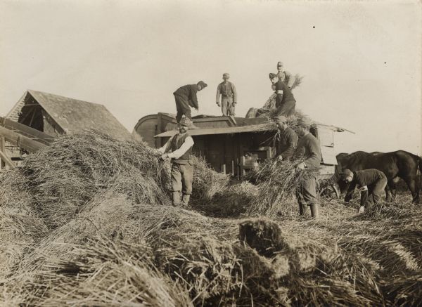 Soldiers are preparing straw for roofs for winter quarters in Serbia. 