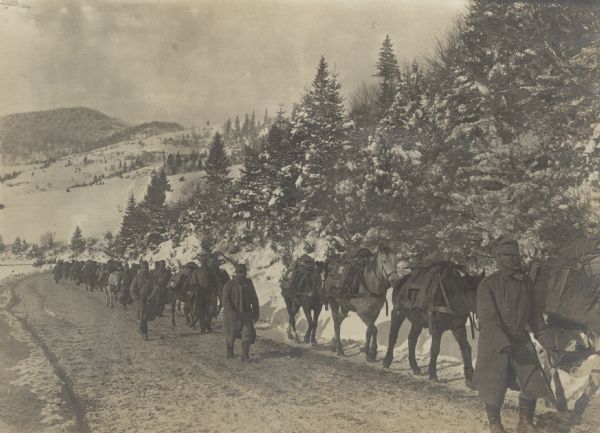 Austrian munitions column on horses and mules being transported to the front. 