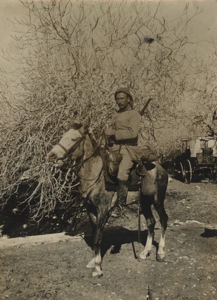 Turkish cavalryman in front of a blossoming olive tree.