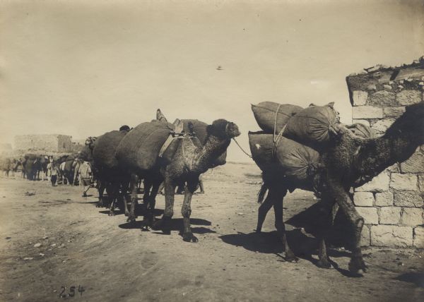Camel caravan moving through the desert.