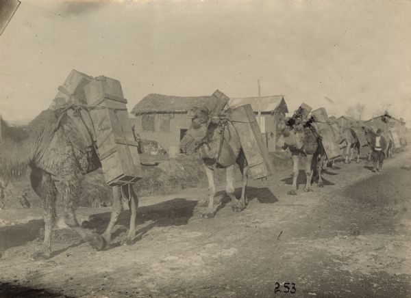 Heavily laden camel caravan traveling through the Holy Land.