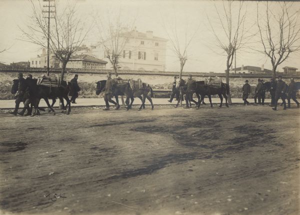 Turkish caravan in Constantinople.