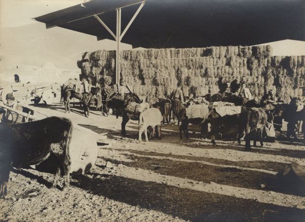 Turkish hay depot in Oulon-Kichla in Syria.