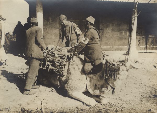Loading camels with provisions and entrenching tools.