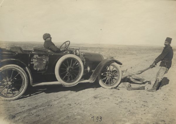 Posed image of an automobile striking a camel.