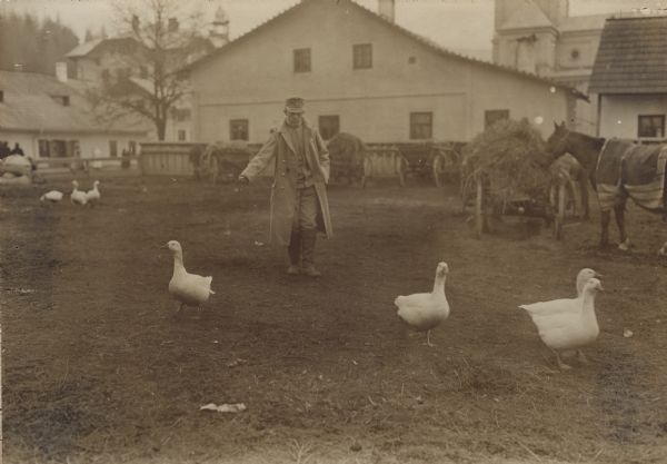 Austrian soldier feeding geese.