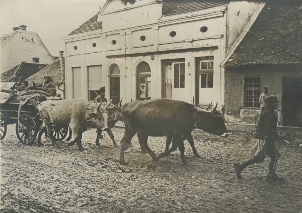 Serbian populace, chased out of their homes by their own troops, fleeing from town to town. Here passing through Sabac in Serbia.