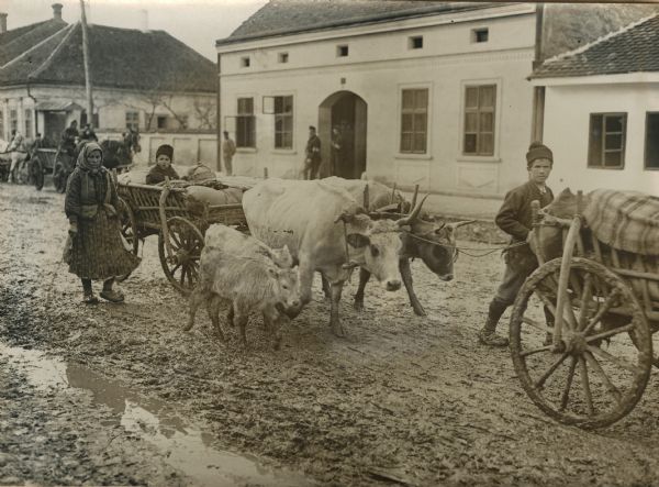 Serbian refugees walking through the streets, with livestock and wagons.